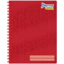 Libreta Profesional Norma Color - 100 Hojas Cuadro Chico 5mm (Doble Arillo)